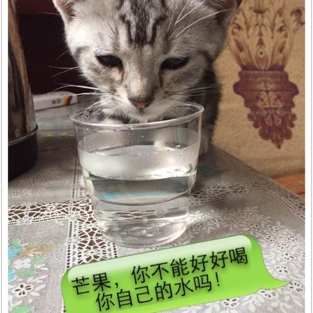 哈姆林大学学历认证